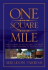 One Square Mile : The History of Roosevelt Ny from a Autobiographical Perspective - eBook