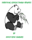 Surviving Google Panda Updates - eBook