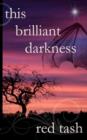 This Brilliant Darkness - Book