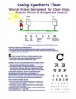 Seeing Eyecharts Clear-Natural Vision Improvement for Clear Close, Distant Vision : & Astigmatism Removal (Black & White Edition) - Book