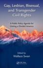Gay, Lesbian, Bisexual, and Transgender Civil Rights : A Public Policy Agenda for Uniting a Divided America - Book