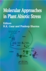 Molecular Approaches in Plant Abiotic Stress - eBook