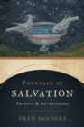 Fountain of Salvation : Trinity and Soteriology - eBook