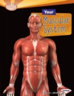 Your Muscular System - eBook