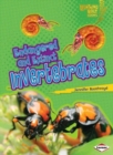 Endangered and Extinct Invertebrates - Book