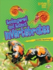 Endangered and Extinct Invertebrates - eBook