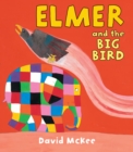 Elmer and the Big Bird - eBook
