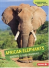 African Elephants : Massive Tusked Mammals - Book