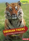 Siberian Tigers : Camouflaged Hunting Mammals - Book