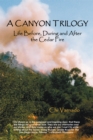 A Canyon Trilogy : Life Before, During and After the Cedar Fire - eBook