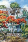 A Tropical Frontier, Tales of Old Florida - Book