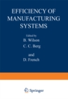 Efficiency of Manufacturing Systems - eBook
