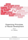 Organizing Principles of Neural Development - eBook