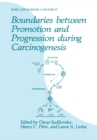Boundaries between Promotion and Progression during Carcinogenesis - eBook