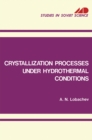 Crystallization Processes under Hydrothermal Conditions - eBook