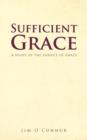 Sufficient Grace : A Study of the Subject of Grace - Book