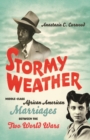 Stormy Weather : Middle-Class African American Marriages between the Two World Wars - eBook