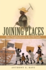 Joining Places : Slave Neighborhoods in the Old South - eBook