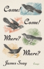 Come! Come! Where? Where? : Essays - eBook