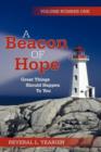 A Beacon of Hope - Book