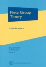 Finite Group Theory - eBook