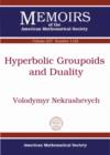 Hyperbolic Groupoids and Duality - Book