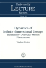 Dynamics of Infinite-dimensional Groups - eBook