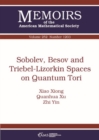 Sobolev, Besov and Triebel-Lizorkin Spaces on Quantum Tori - Book