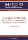 Type II Blow Up Manifolds for the Energy Supercritical Semilinear Wave Equation - Book