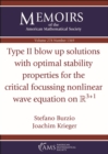 Type II blow up solutions with optimal stability properties for the critical focussing nonlinear wave equation on $\mathbb {R}^{3+1}$ - Book