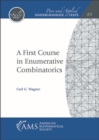 A First Course in Enumerative Combinatorics - Book