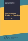 Combinatorics : The Art of Counting - eBook
