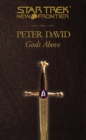 Gods Above - eBook