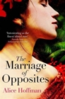 The Marriage of Opposites - Book