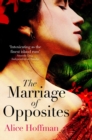 The Marriage of Opposites - eBook