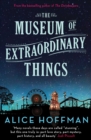 The Museum of Extraordinary Things - eBook