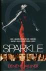 Sparkle : A Novel - Book