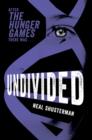 Undivided - Book