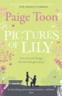 Pictures of Lily - Book