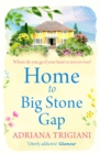 Home to Big Stone Gap - Book