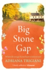 Big Stone Gap - eBook