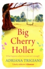 Big Cherry Holler - eBook