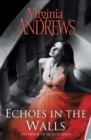 Echoes In The Walls - eBook
