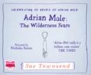 Adrian Mole: The Wilderness Years - Book