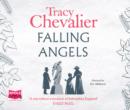 Falling Angels - Book