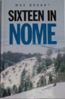 Sixteen in Nome - Book