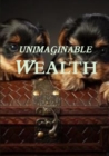 Unimaginable Wealth - Book