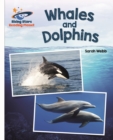 Reading Planet - Whales and Dolphins - White: Galaxy - Book
