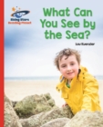 Reading Planet - What Can You See by the Sea? - Red B: Galaxy - eBook