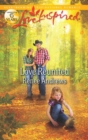 Love Reunited - eBook
